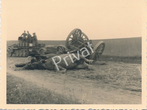 Foto wehrmacht wagen - wk,