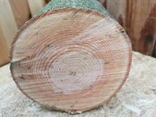 Drechselholz Esche – 15 cm