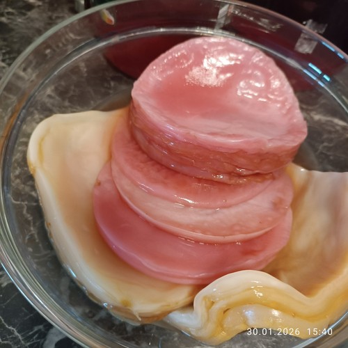 Kombucha scoby starter - kombucha,