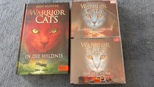 Warrior Cats-In die Wildnis u. Hörbücher: Geheimnis des Waldes,Vor dem Sturm