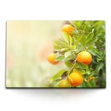 120x80cm Wandbild auf Leinwand