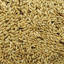 Gladen - Kanariensaat - 5kg Tierfutter