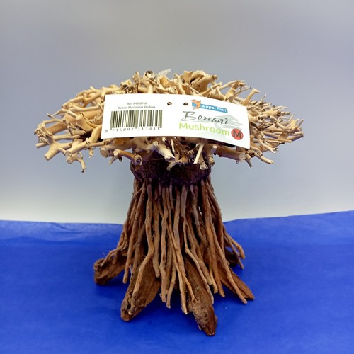 Superfish bonsai pilz baum - pilz,