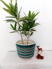 Sarreguemines Übertopf Blumentopf Art Deco Stil grün rot 5786 D21,5 cm Cache-pot