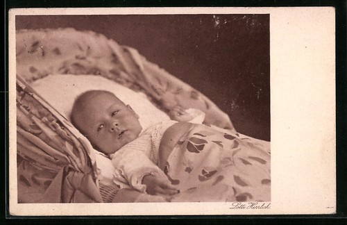 Foto lotte herrlich - lotte,