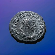 Probus 276 282 - -,