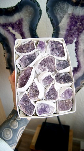 Amethyst geoden drusen - amethyst,