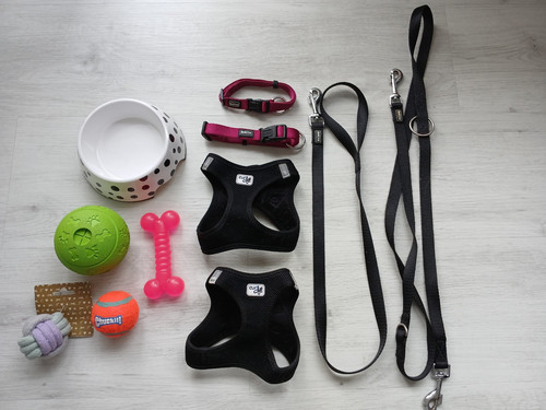 Hundeleine hundehalsband - hundeleine,