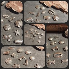 10 Motivperlen – Meerestiere