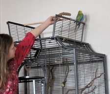 Vogelkäfig, Montana Premium Madeira II, 82 X 54 X 153 cm, Antik Edit., neuwertig