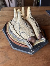 Altes Lehrmodell Kuh Euter Kuheuter Anatomie Tier Vintage Objekt Anatomiemodell