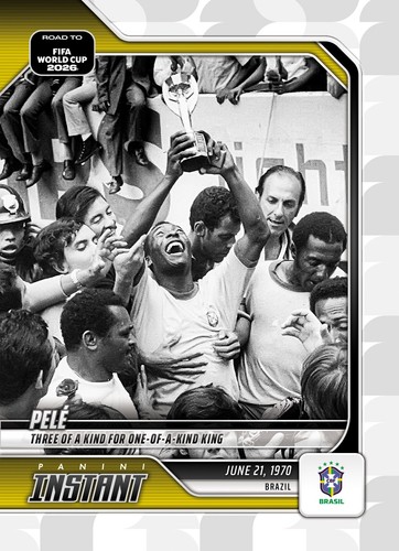 Panini instant road fifa - road,