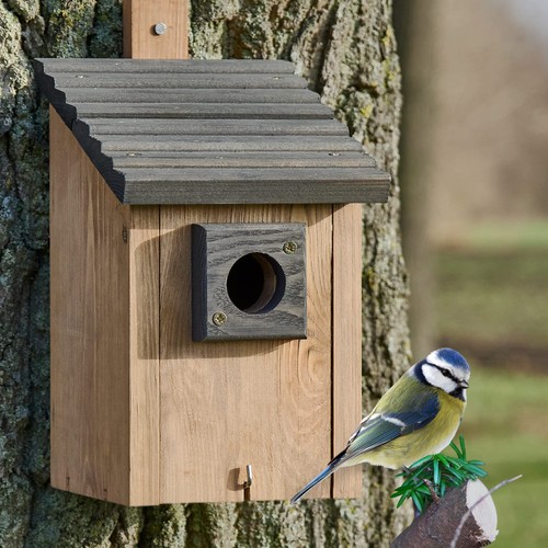 Vogelhaus nistkasten - vogelhaus,