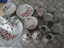 Winterling Kirchenlamitz Kaffeeservice Wildrose Vintage 1970-1979