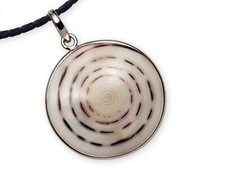 Schnecke Muschel Ketten