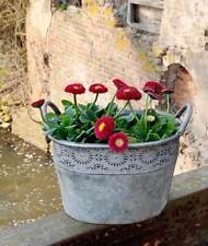 Zink Blumentopf Oval mit