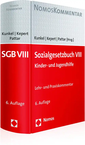 Sozialgesetzbuch viii - sozialgesetzbuch,