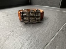 RH Reptile‘s House Reptiles