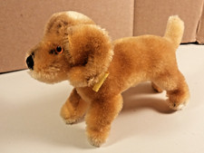 Steiff 4160/10 Hund Dackel Welpe Bazi, Original Steiff-Tier, 1960er - Jahre, top