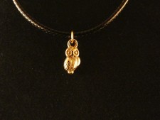 Eule Anhänger mit Kette 24 Karat Vergoldet Uhu Tier Nacht Vogel Charm Gold