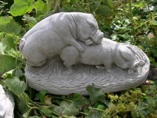 Making Bacon Schweine