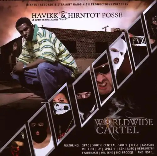 Havikk hirntot posse - posse,