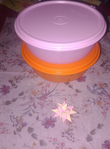 Tupperware große - 🌺,