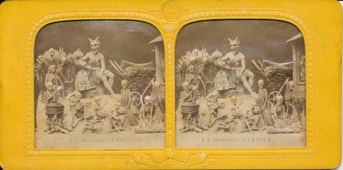 Stereo foto tissue - stereo,