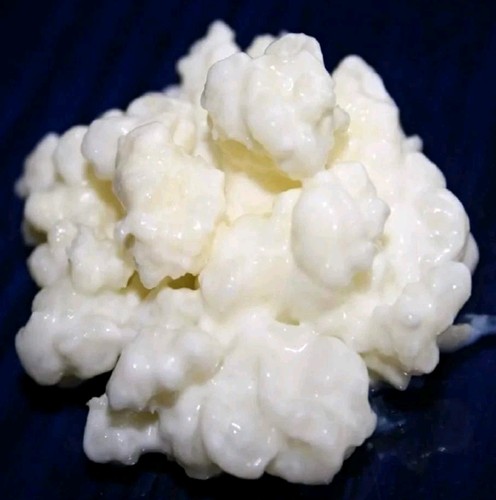Bio kefir - 40,