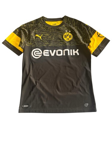 Borussia dortmund bvb - borussia,