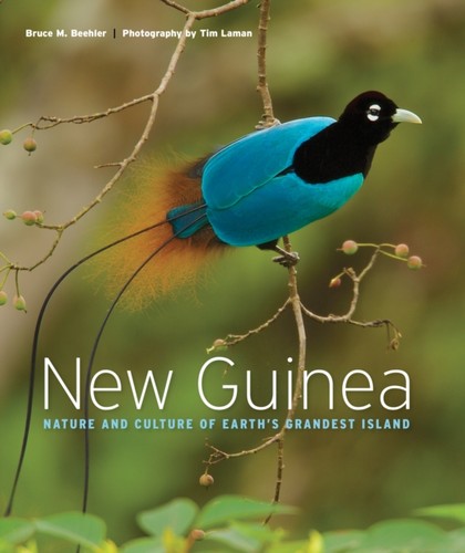 New guinea bruce beehler - bruce,