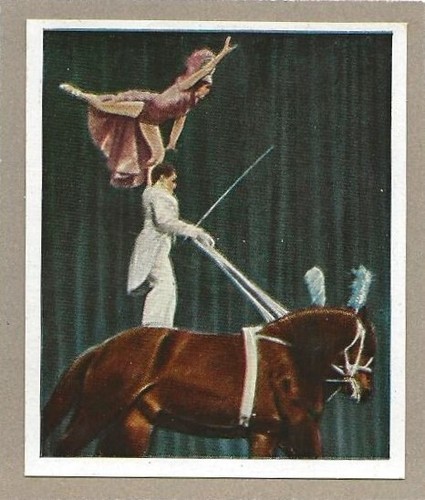 104 sammelbild jahr 1935 - sammelbild,