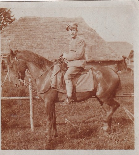 Foto kürassier pferd - foto,