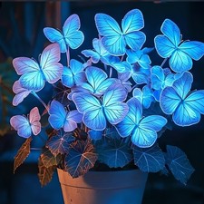 100 Stück/Packung lila weiß