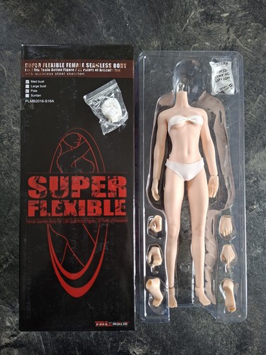 Phicen tbleague s16a scale - s16a, 1/6