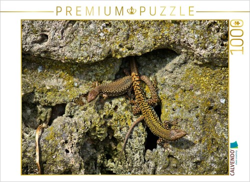 Calvendo puzzle eidechsen - calvendo,