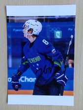 Ziga Jeglic - Team Slowenien - Fischtown Pinguins Bremerhaven