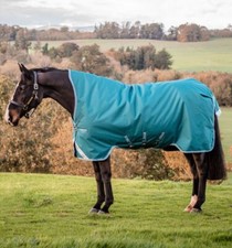 Horseware amigo bravo wug - amigo,