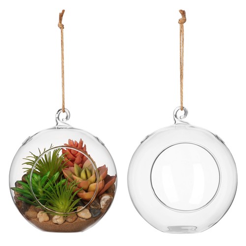 Pcs terrariumbehälter - 2,
