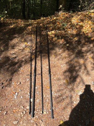 Anaconda antigua 12ft 5lbs - anaconda,