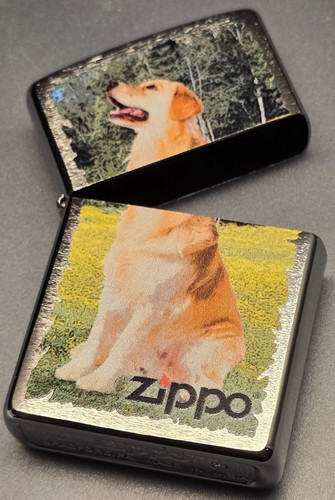 Zippo golden retriever nur - zippo,