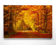 Wunderschöne Herbst Motive