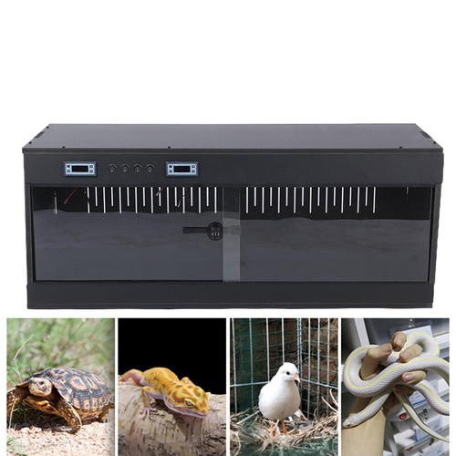 Schwarz reptilien amphibien - schwarz,