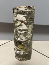 (3). Birkenklotz Birkenstamm Holz Deko 23 cm Hoch 7,5 cm Durchmesser