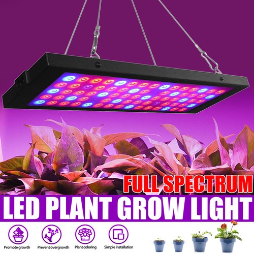 Vollspektrum led pflanzenlampe - vollspektrum,