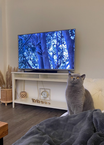 Ikea board weiss - tv,