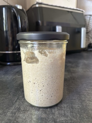 Sauerteig starter bio roggen - starter, 8