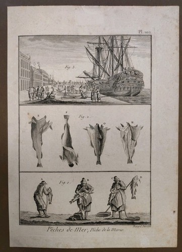 Peches mer kupferstich 1793 - de,