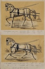 Anspannung Attelage Zaumzeug Geschirr Pferde-Wagen Kutsche coach Trense Sattler 