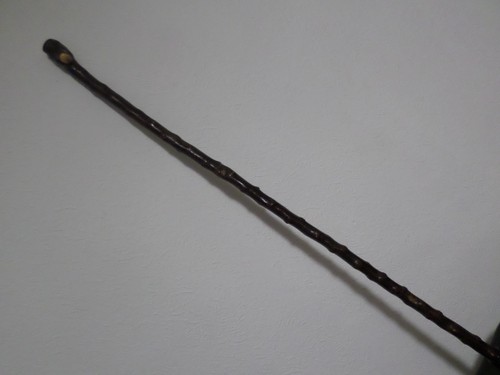 Blackthorn knopf gehstock - blackthorn,